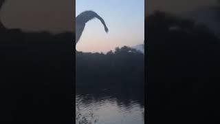 Дикая сальтуха | Wild flip #crazy #like #happy #smile #jump #watch #reels #tiktok #youtubeshorts