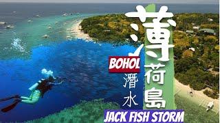 4K BOHOL BALICASAG ISLAND DIVING JACKFISH STROM 菲律賓薄荷島潛水 傑克魚風暴 CC中文字幕  粵語 PANGLAO ISLAND ALONA BEACH