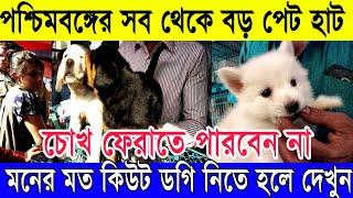 ️কিউট কুকুর নিতে চাইলে দেখুন | সব থেকে বড় পেট হাট কলকাতা LIVE (Largest Pet Haat in Kolkata)