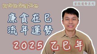 【紫微斗數】廉貪在巳 流年運勢｜2025 乙巳年