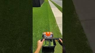 Genius $17 lawn care tool