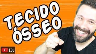 Tecido Ósseo - Histologia - Aula | Biologia com Samuel Cunha