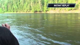 1080p Home Pool Salmon on wet fly 2013