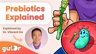 What Are Prebiotics? | GutDr Mini-Explainer