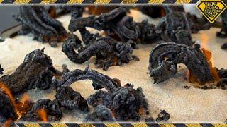 Fire Snake Experiment! TKOR Dives Into How To Make Black Carbon Fire Snakes