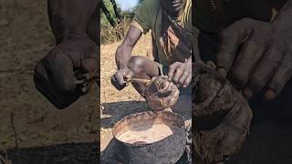 Why Do Hadzabe Tribe Hunters Love Baboon Head Soup?#shortsfeed #hadzabetribe