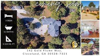 Cleveland Homes for Sale by Gold Peach Realty - 142 Gold Flume Way Cleveland GA 30528 7321