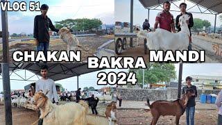 PUNE BIGGEST BAKRA MANDI CHAKAN VLOG 2 || VLOG 51 || MD.ANAs.VLOGs