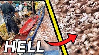 China Food Safety HELL - They’ve Had Enough of the Scandals! People are Rebelling! - Episode #221