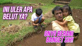 WAH ADA ULER! ONYO KOK BERANI YA! | DIARY THE ONSU (10/10/20) P1