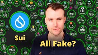 Sui Is Growing, and...  Crypto Token Analysis