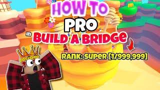 How to become Pro in build bridge simulator!