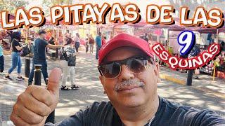 Pitayas la fruta preferidas de los tapatíos en las 9 esquinas |Guadalajara jal.