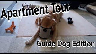 2021 College Apartment Tour || Guide Dog edition