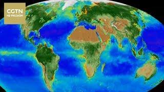 В NASA сделали ролик о последствиях изменения климата за последние 20 лет  [Age0+]