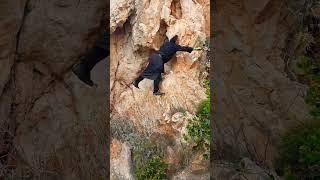 Το Μονοπάτι της Πίστης: Σκαρφαλώνοντας τα Καρούλια του Αγίου Όρους