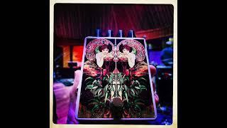 Red Witch Limited Edition Panoptia 2 + 1 Overdrive Pedal