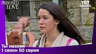 Ты назови Сезон 1 Серия 50