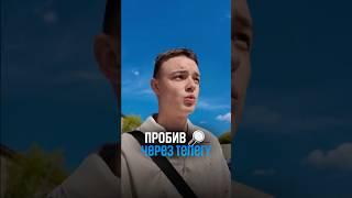 Как пробить номер? (Урок по тг в профиле)