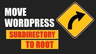 Move WordPress site from subdirectory to Root - quick guide 2024