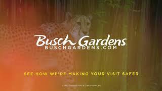 Welcome Back | Busch Gardens Tampa Bay