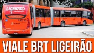 Novos Marcopolo Viale BRT - Volvo B340M de Curitiba - Eu Fui Conferir #86