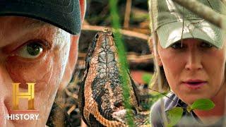 The Clock is TICKING to Save the Everglades | Swamp People: Serpent Invasion (S4)