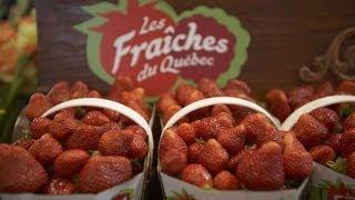 Montreal Food Markets, Montreal, Quebec Province, Canada