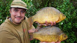 CRUCIAN CARP FISHING - big crucians to over 4lb+