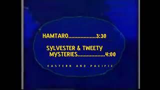 Cartoon Network Powerhouse Era Coming Up Next: Hamtaro To Sylvester & Tweety Mysteries (2003 Saw)
