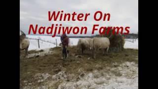 Winter On Nadjiwon Farms