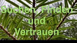 SUCHEN, FINDEN UND VERTRAUEN