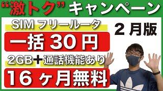 【2月版】"激トク"で契約できる通信会社を徹底解説【格安SIM】