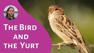 The Bird and the Yurt (Foundational)