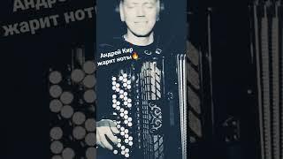 Вот это баянист! Андрей Кир