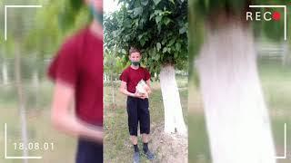 Спонсоры 2020  года 01 июня