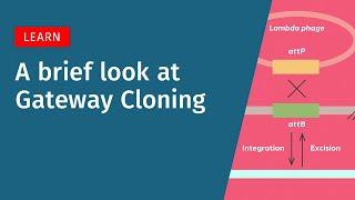 A Brief Look at Gateway Cloning