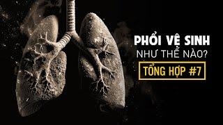 #832 Phổi Tự 'Vệ Sinh' Chính Nó Như Thế Nào? | Siêu Tổng Hợp Bạn Hỏi VFacts Trả Lời #7