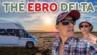 The Ebro Delta Is Perfect, ALMOST | Motorhome Adventures Spain