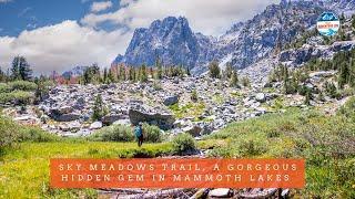 Sky Meadows Trail, a Gorgeous Hidden Gem in Mammoth Lakes, CA