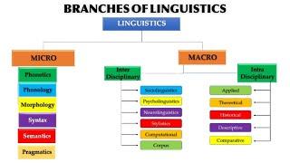 BRANCHES OF LINGUISTICS: Micro VS Macro Linguistics