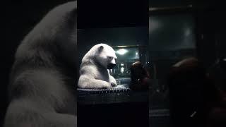 Chip N Dale Rescue Rangers Polar Bear Hot Tub