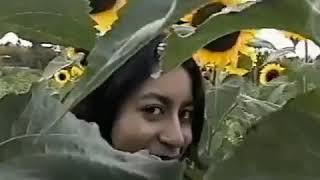 Avi - the days we once had