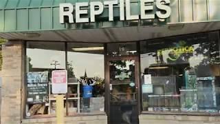 Tour of Repxotica Rare Reptiles!