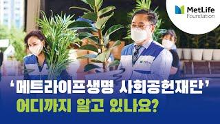 메트라이프생명 사회공헌재단의 모든 것