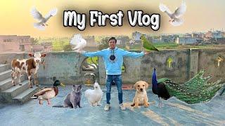 My Pets First Vlog | Ns Vlogs