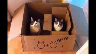 Operations on Functions