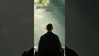 당신이 망하는 이유 #부처님#지혜