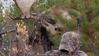 World Record Moose Shot