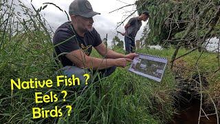 A Freshwater Scientist Has Come To Talk Through My EDNA Results, What Did He Find?